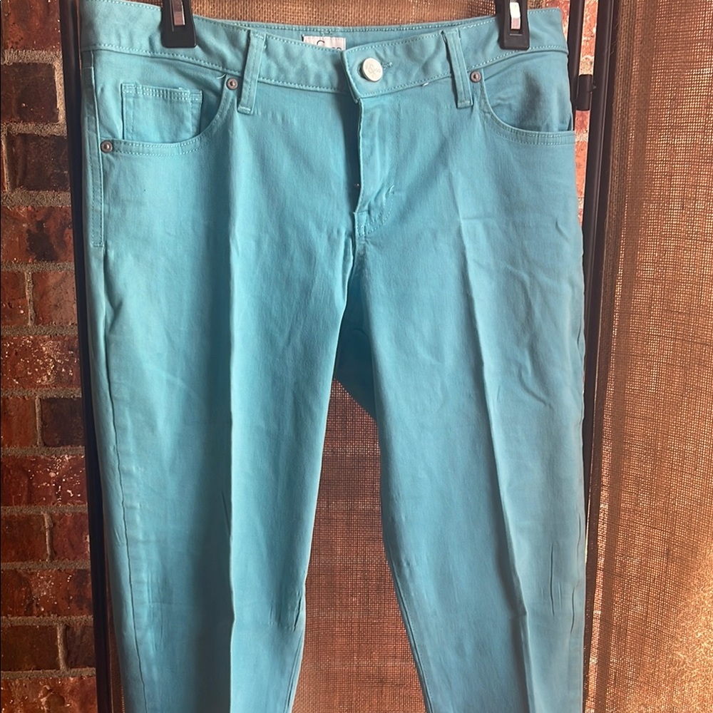Style & Co. Blue Skinny Jeans‎ with Stretch Denim